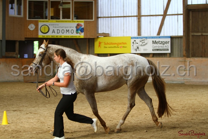 24-ApHC HIH_052.jpg